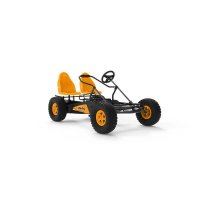 VOITURE A PEDALES BERG DUO COASTER BFR 07170000