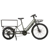 VELO CARGO ELECTRIQUE ALPA VERT MOTEUR BAFANG ROUE AR BATTERIE 36V 10Ah SUM 25SU050