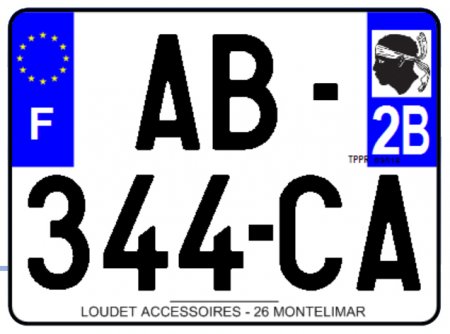 PLAQUE SIV VOITURE OKI PLEXIGLAS 275X200  (2B) PLAQUE275LZ2B