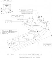 ECHAPPEMENT SCOOTER SITO NITRO CAT 2004 SIL0716